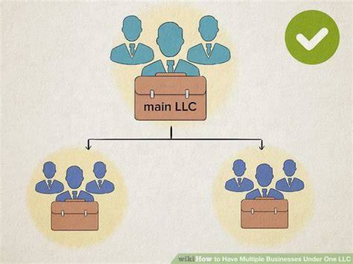 Can I have multiple online businesses under one LLC?