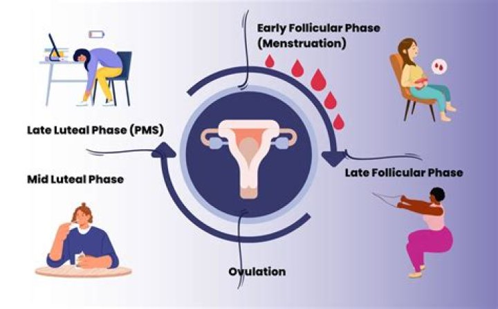 Does menstruation limit what you can do how?