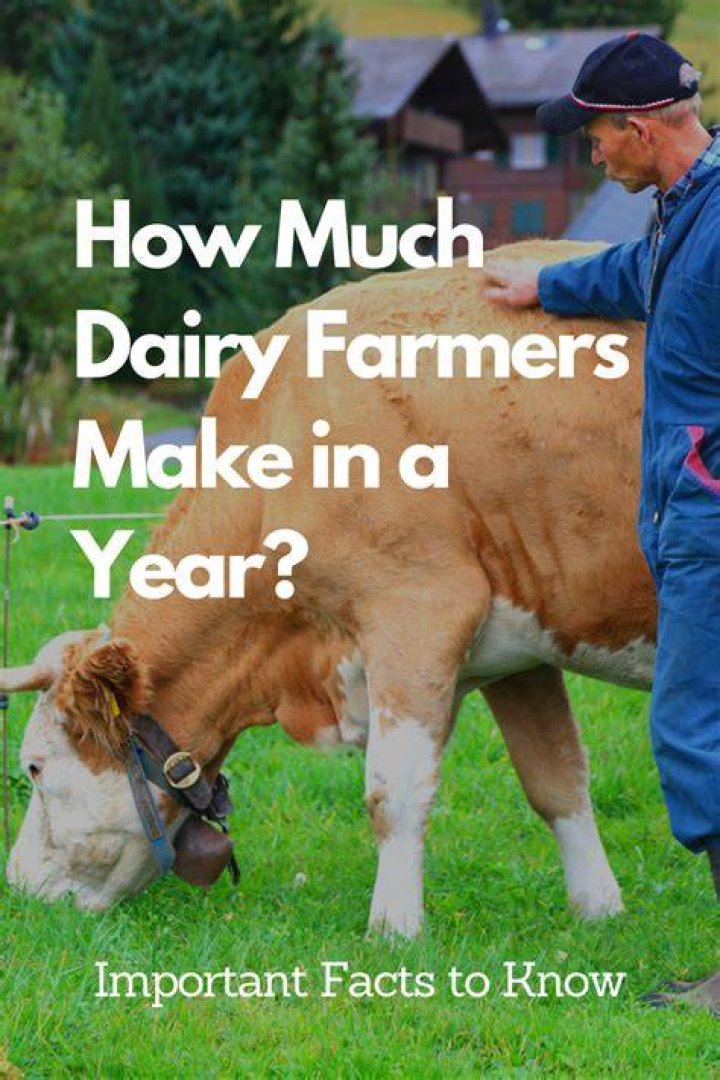 How much do farmers make on a good year?